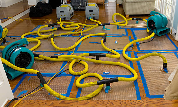 Professional Structural Drying And Dehumidification technician working in Manns Harbor, NC